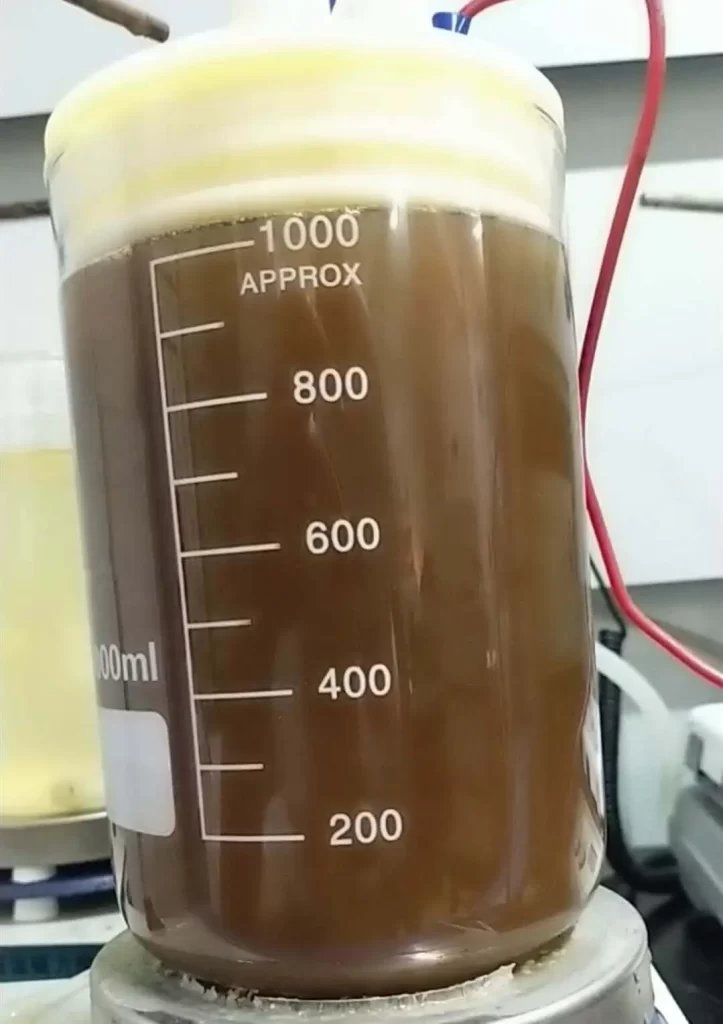 Picture 1 shows the experimental phenomenon at 0min degradation