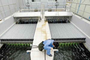 wastewater treatment