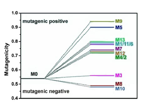 mutagenicity