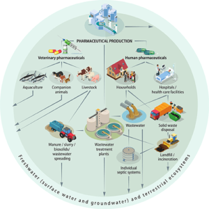 pharmaceutical product and freshwater ecosystem