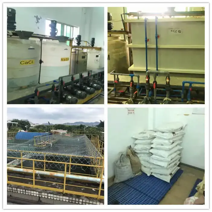 Guangzhou Honda Foundry Wastewater Treatment Case